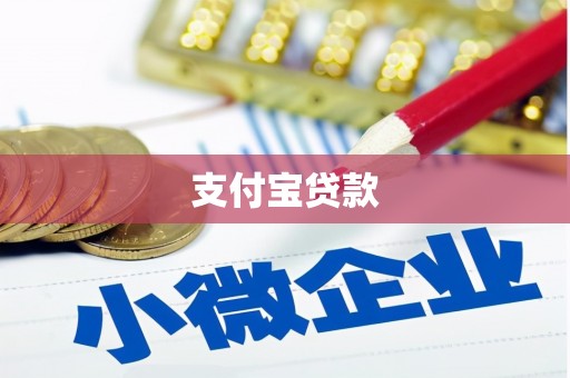 水林支付宝贷款