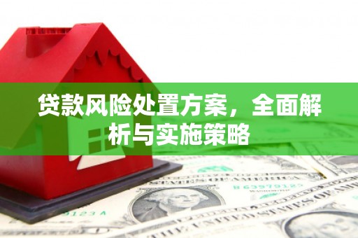水林贷款风险处置方案，全面解析与实施策略