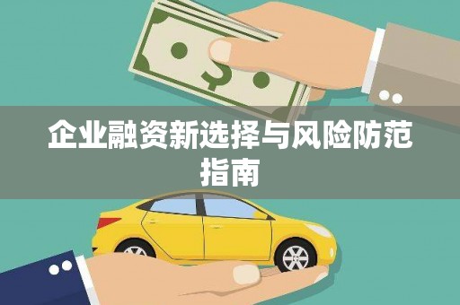 水林企业融资新选择与风险防范指南