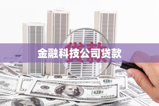 水林金融科技公司贷款