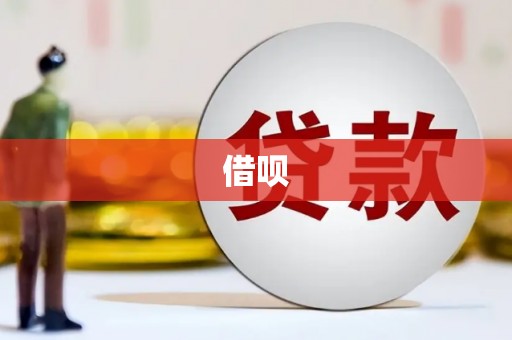 水林借呗