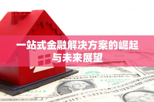 水林一站式金融解决方案的崛起与未来展望