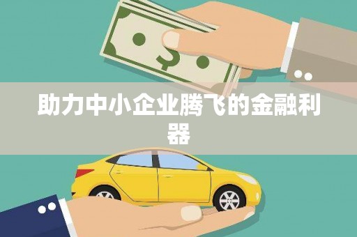 水林助力中小企业腾飞的金融利器