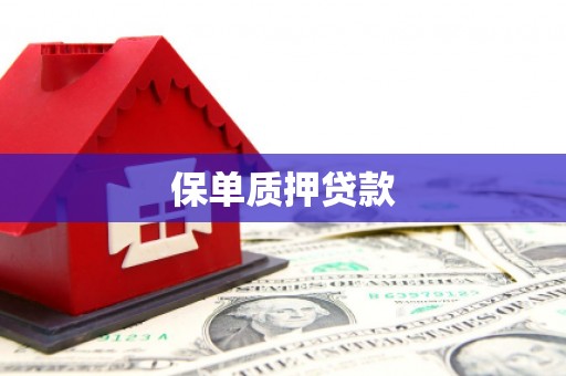 水林保单质押贷款