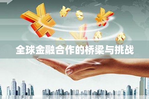 水林全球金融合作的桥梁与挑战