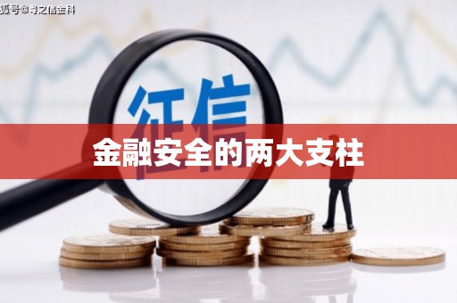 水林金融安全的两大支柱