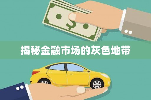 水林揭秘金融市场的灰色地带