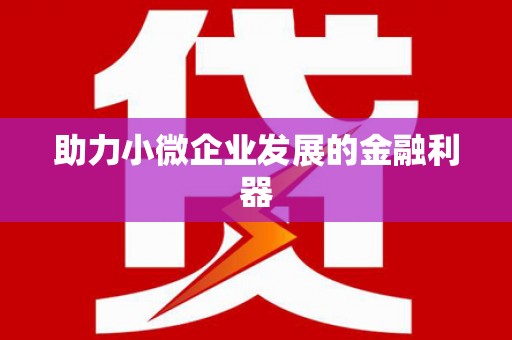 水林助力小微企业发展的金融利器