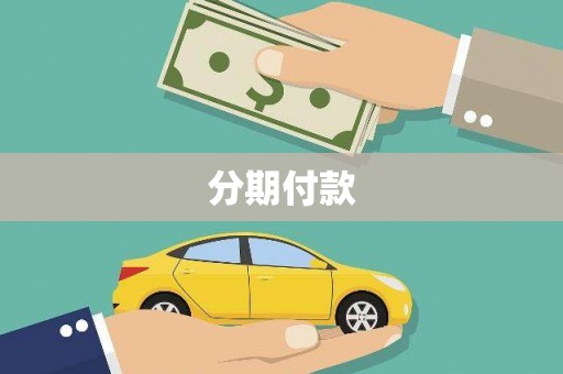 水林分期付款
