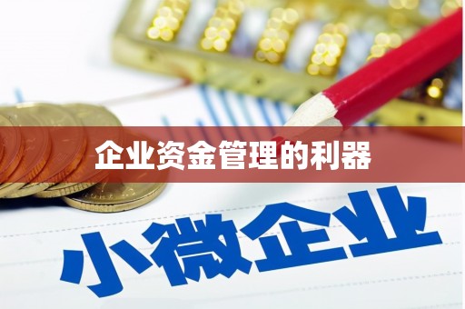 水林企业资金管理的利器