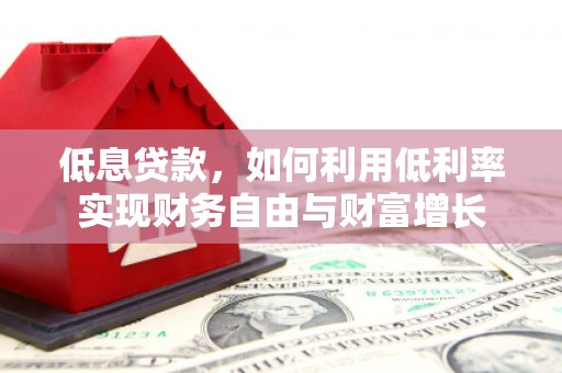 水林低息贷款，如何利用低利率实现财务自由与财富增长