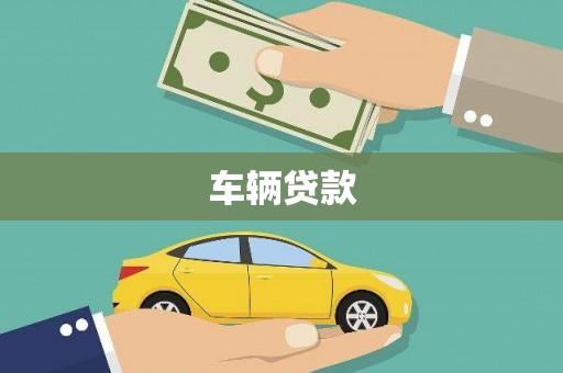 水林车辆贷款