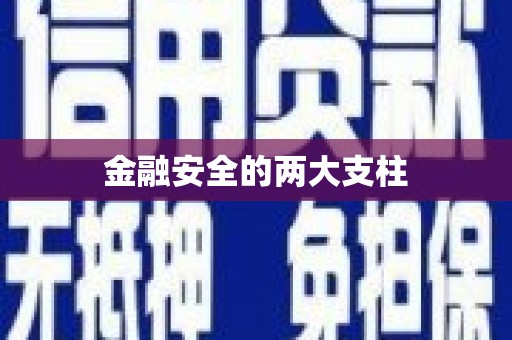 水林金融安全的两大支柱