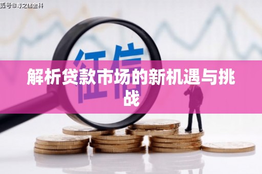 水林解析贷款市场的新机遇与挑战