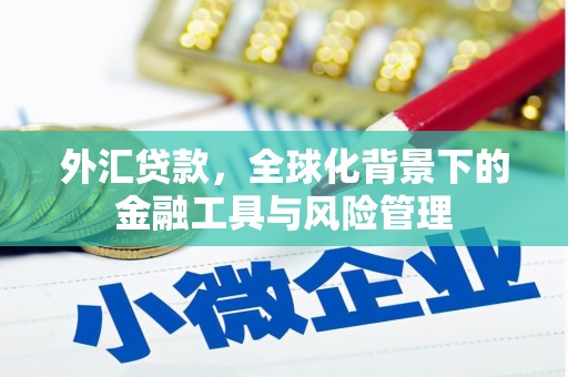 水林外汇贷款，全球化背景下的金融工具与风险管理