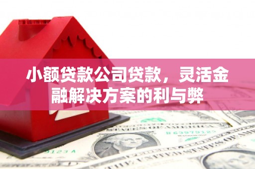 水林小额贷款公司贷款，灵活金融解决方案的利与弊