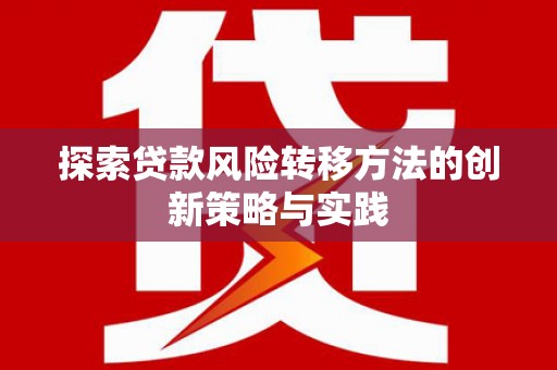 水林探索贷款风险转移方法的创新策略与实践