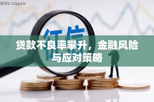 水林贷款不良率攀升，金融风险与应对策略