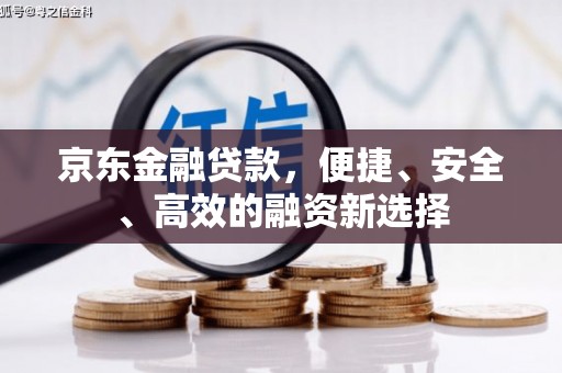水林京东金融贷款，便捷、安全、高效的融资新选择