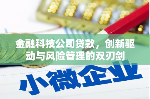 水林金融科技公司贷款，创新驱动与风险管理的双刃剑