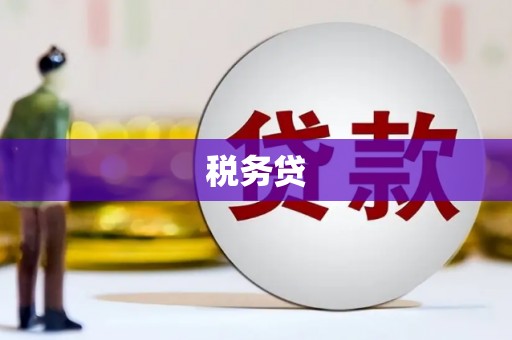 水林税务贷